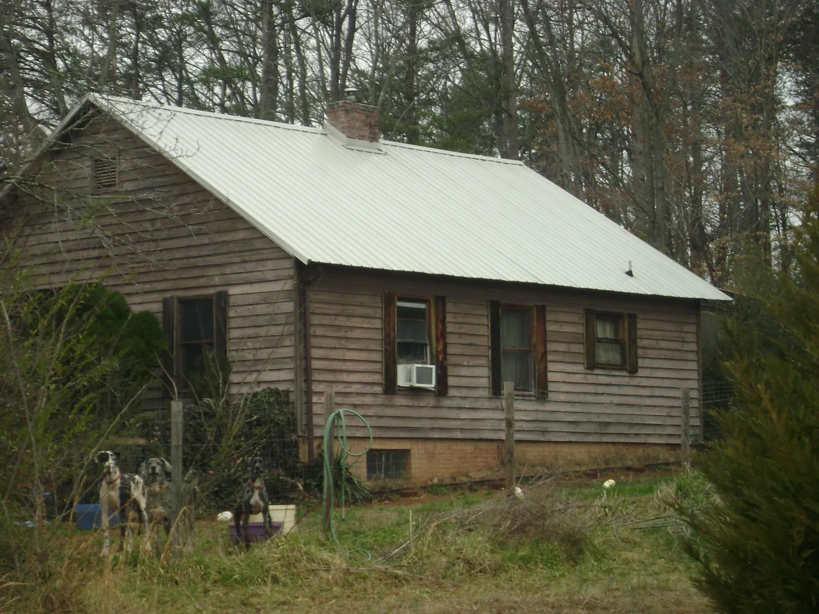 White metal roof on an old wood sided farmhouse, from a Asphalt Shingle Roof Repair job in Juntura
